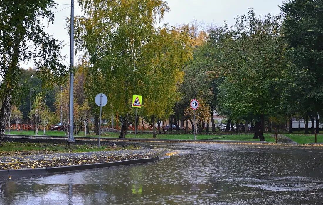 A rainy autumn scene showing a flooded street, wet leaves, and traffic signs in a park.