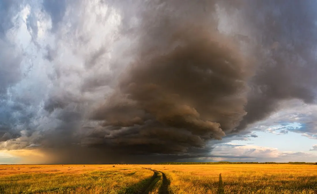 Dark clouds approaching a sunlit field.