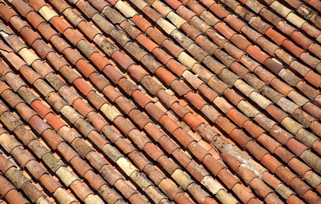 A close view of clay roof tiles with varied colours and weathered surfaces.