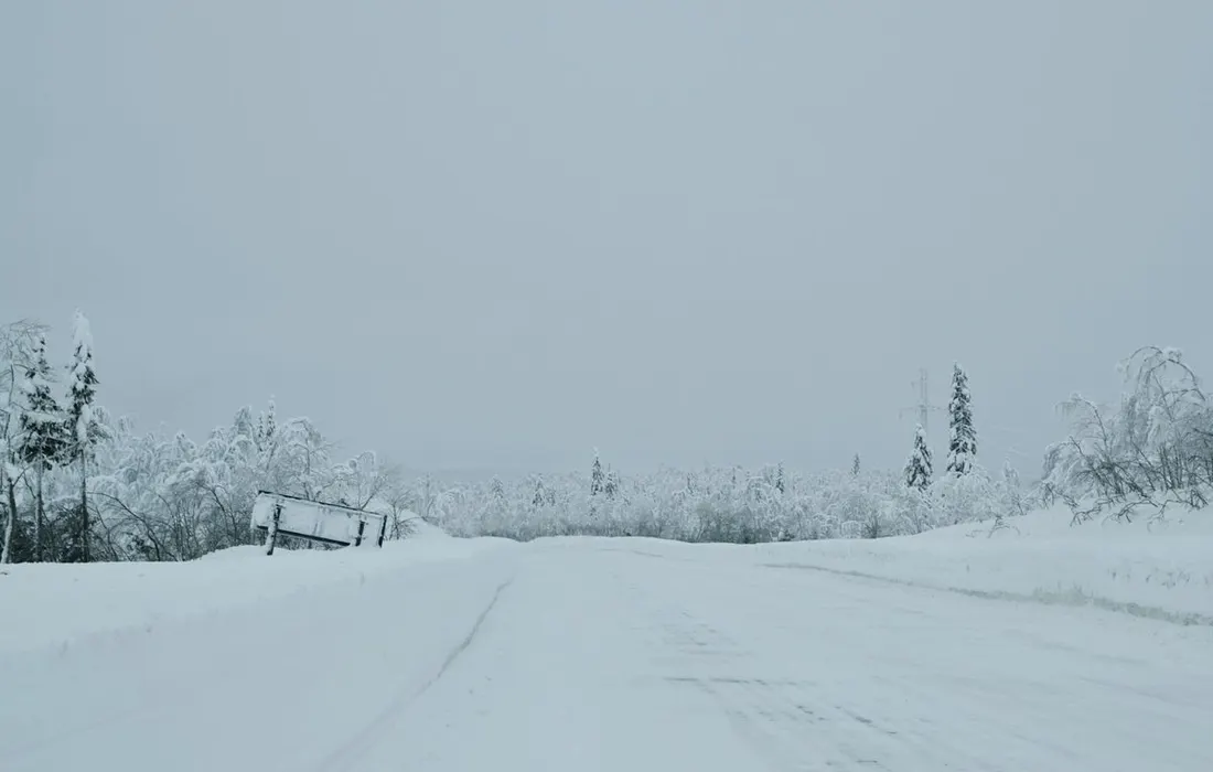 A serene winter scene of a snow-covered road surrounded by frosted trees under an overcast sky.