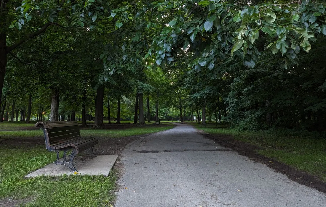 A shaded park walkway beside an empty bench.