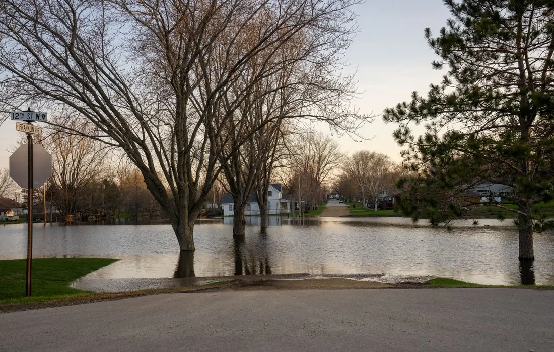 A serene image of a flooded street with bare trees in Wabasha, MN, reflecting calm waters.