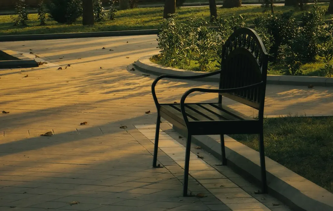An empty bench beneath trees in an urban park.