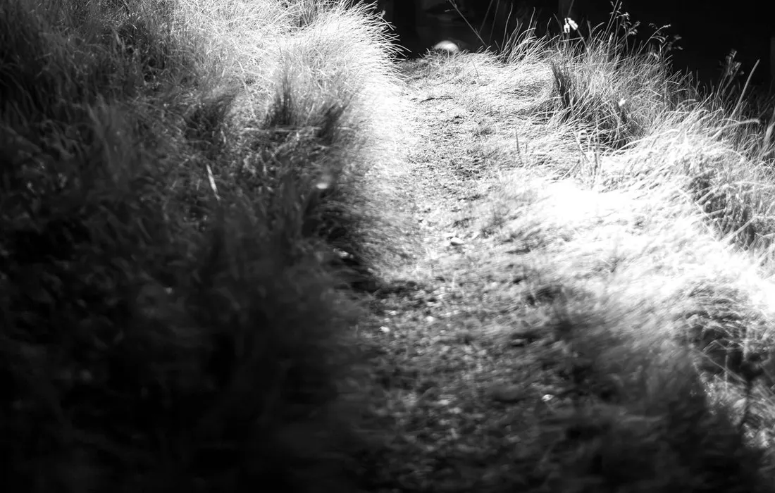 A person illuminating a dark trail with a headlamp.