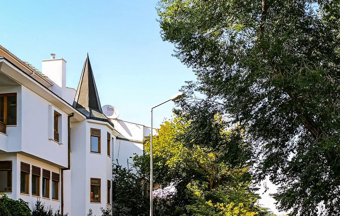 Houses and trees along a residential street in daylight.