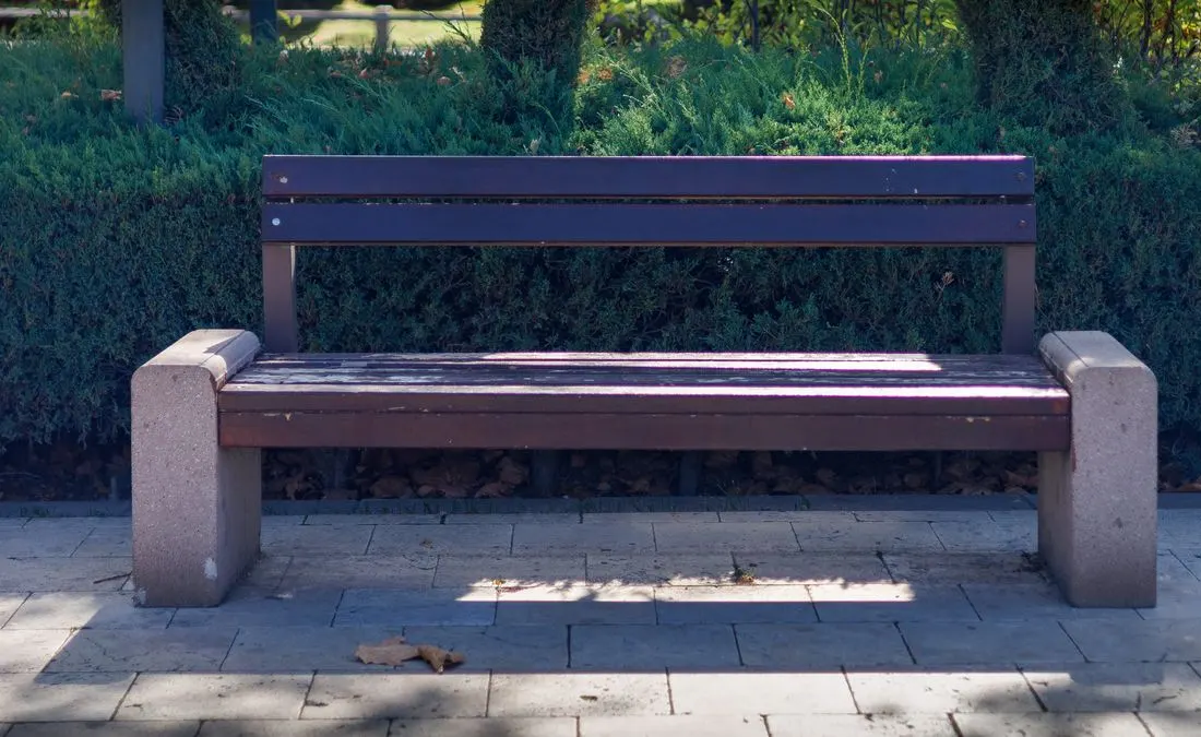 A wooden bench surrounded by green garden plants.