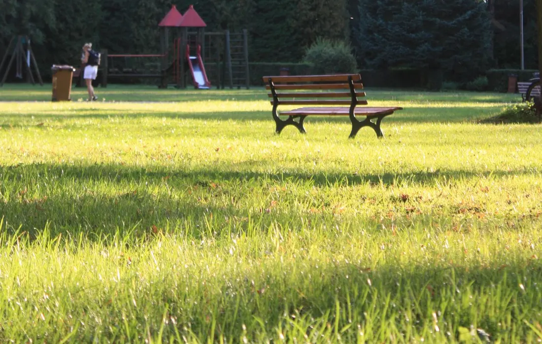 An empty park bench with a playground in the distance.