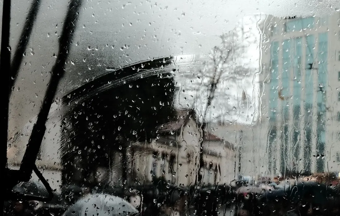 Umbrella silhouettes seen through a rain-covered window.