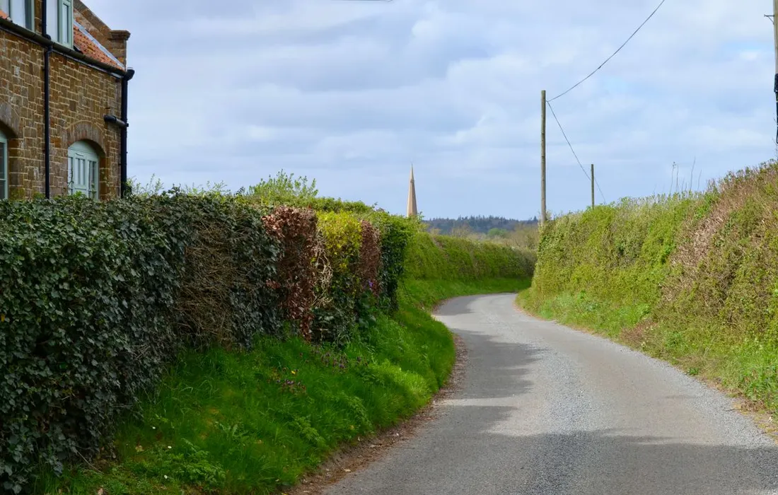 A country road beside a stone house and hedgerows.
