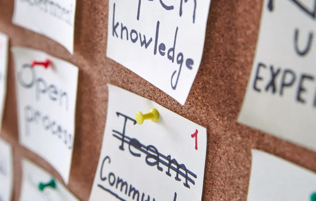 Written notes pinned to a cork noticeboard.