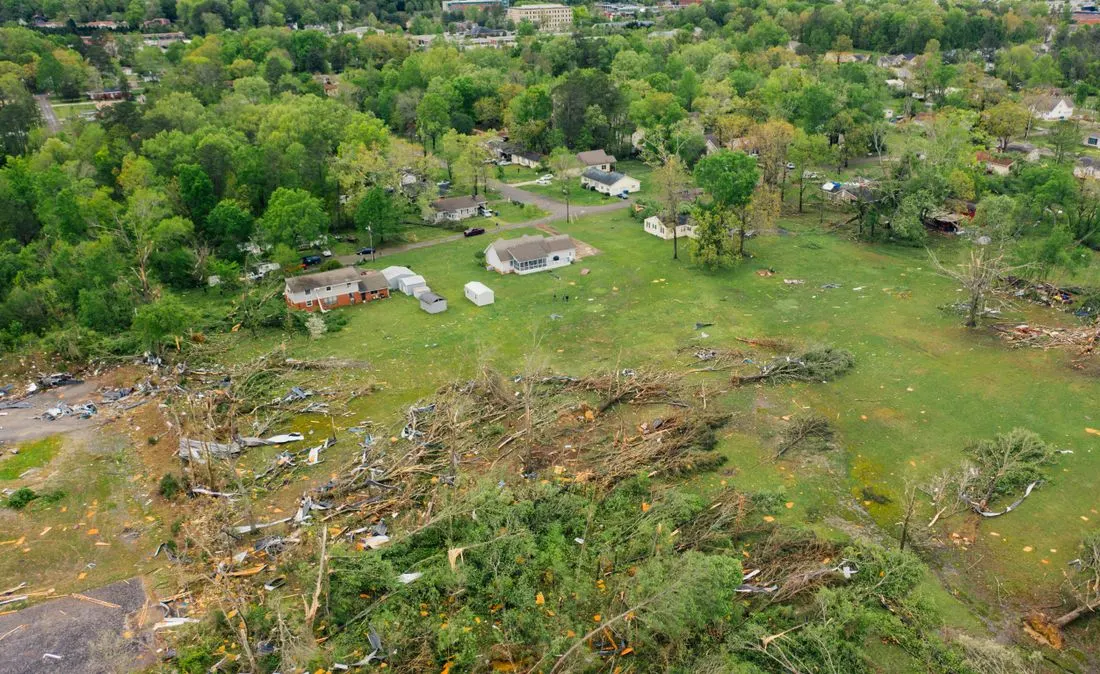 Drone view of uprooted trees heaped on green meadow in small village after massive storm