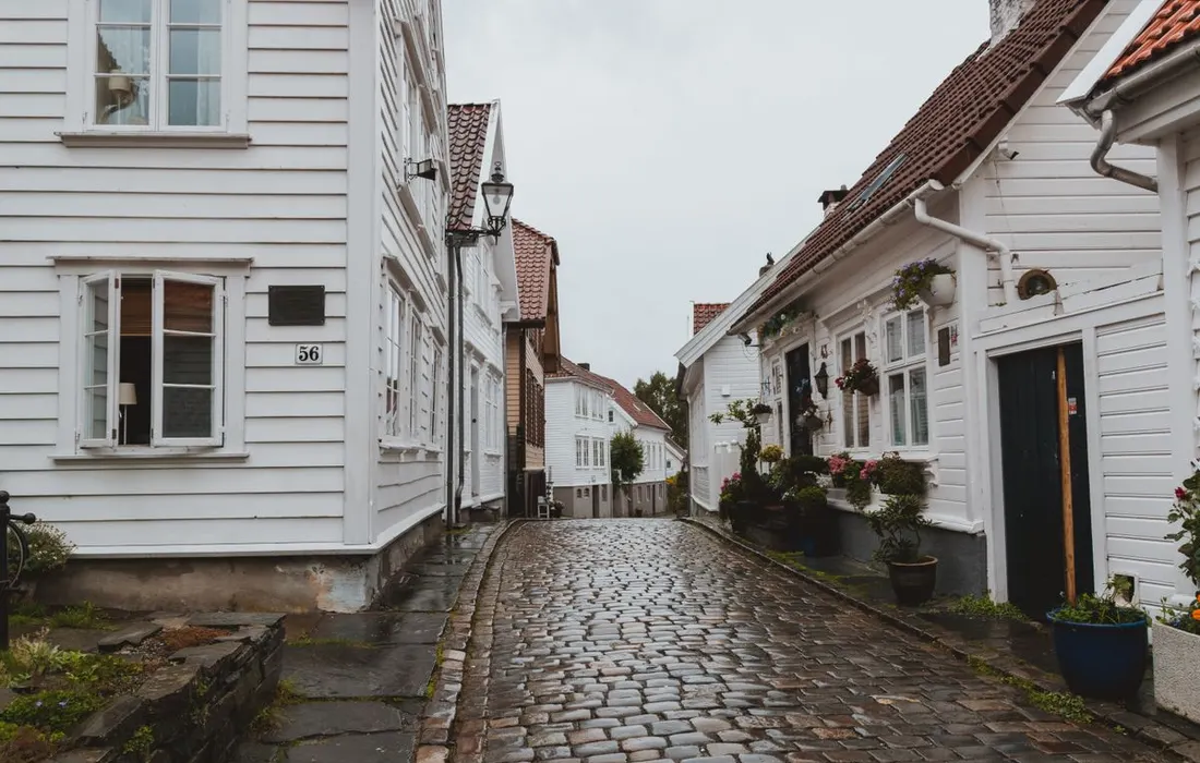 A wet paved pedestrian route between residential buildings.